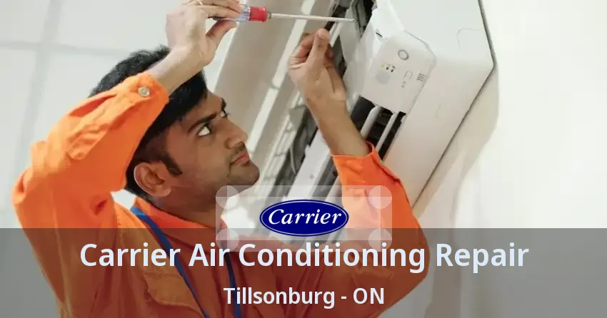 Carrier Air Conditioning Repair Tillsonburg - ON