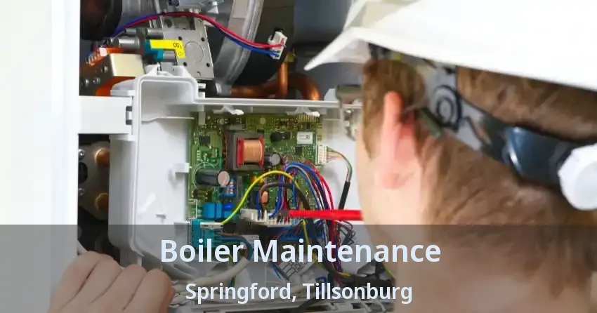 Boiler Maintenance Springford, Tillsonburg - ON