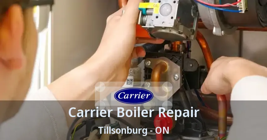 Carrier Boiler Repair Tillsonburg - ON