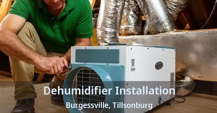 Dehumidifier Installation Burgessville, Tillsonburg - ON
