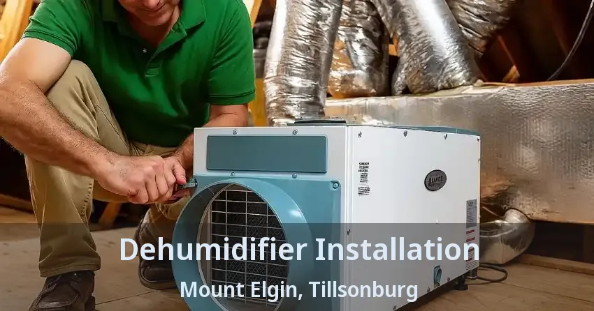 Dehumidifier Installation Mount Elgin, Tillsonburg - ON