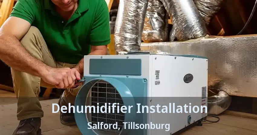 Dehumidifier Installation Salford, Tillsonburg - ON