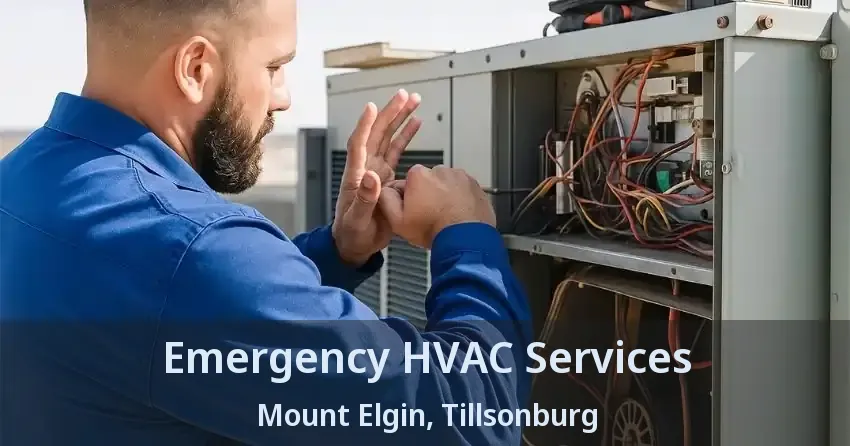 Emergency HVAC Services Mount Elgin, Tillsonburg - ON