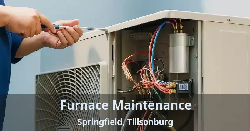 Furnace Maintenance Springfield, Tillsonburg - ON