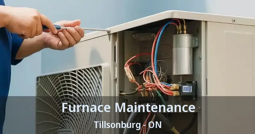 Furnace Maintenance Tillsonburg - ON