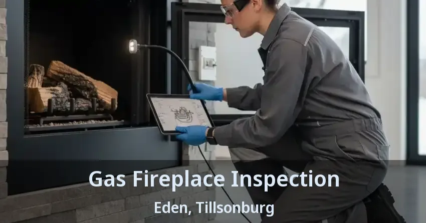 Gas Fireplace Inspection Eden, Tillsonburg - ON