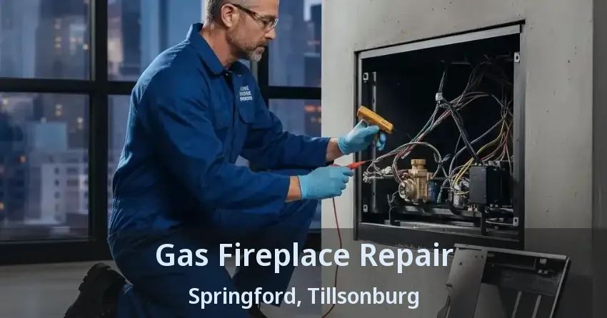 Gas Fireplace Repair Springford, Tillsonburg - ON