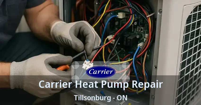 Carrier Heat Pump Repair Tillsonburg - ON
