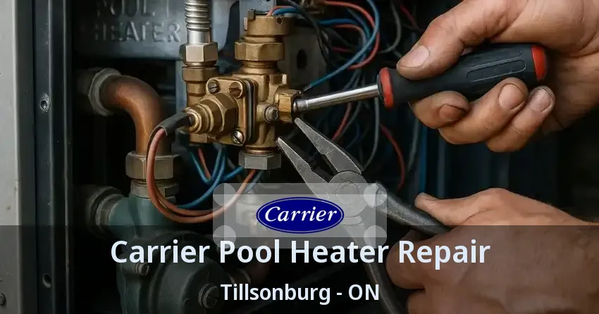 Carrier Pool Heater Repair Tillsonburg - ON