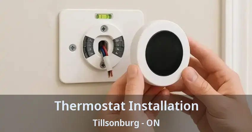 Thermostat Installation Tillsonburg - ON